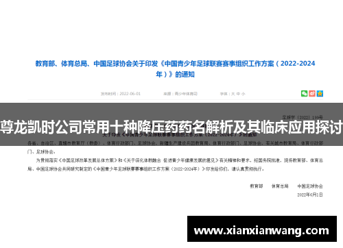 尊龙凯时公司常用十种降压药药名解析及其临床应用探讨